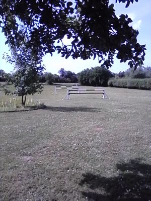 Paddock- click for photo gallery